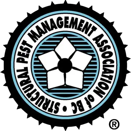 spmabc certification