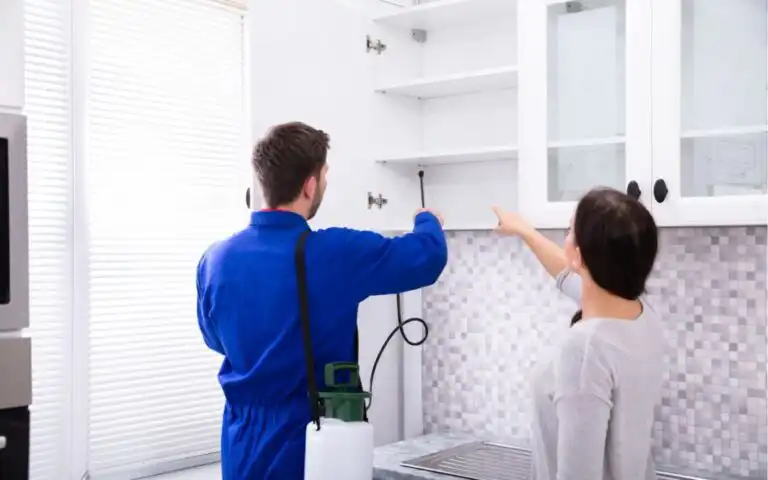 home pest control 2 1080x675