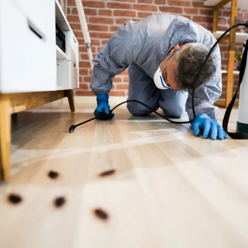 pest exterminator