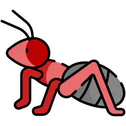 ant