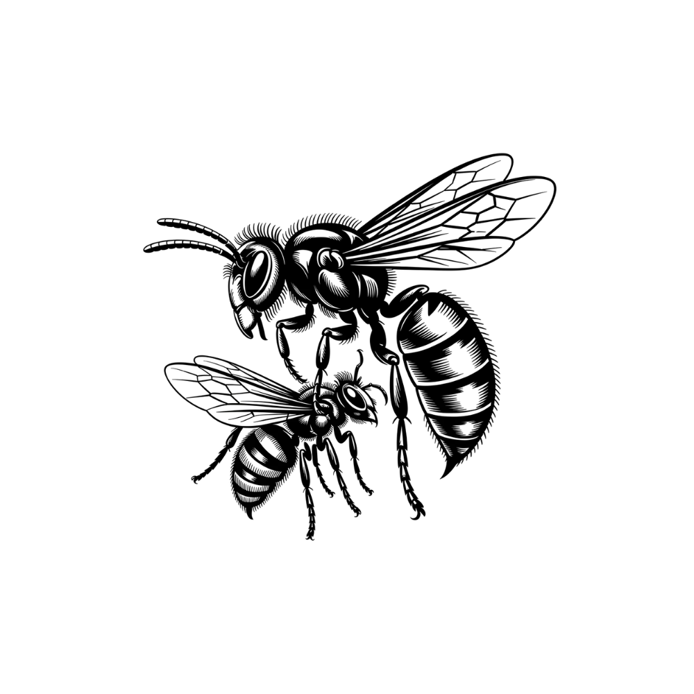 Wasps Hornets control