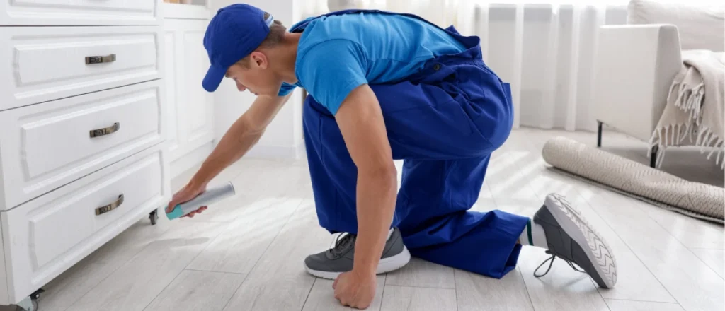 Rodent Control Burnaby BC