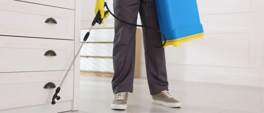 Rodent Control Cloverdale BC 1